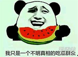 今时今日吃瓜群众,吃瓜群众的热议焦点