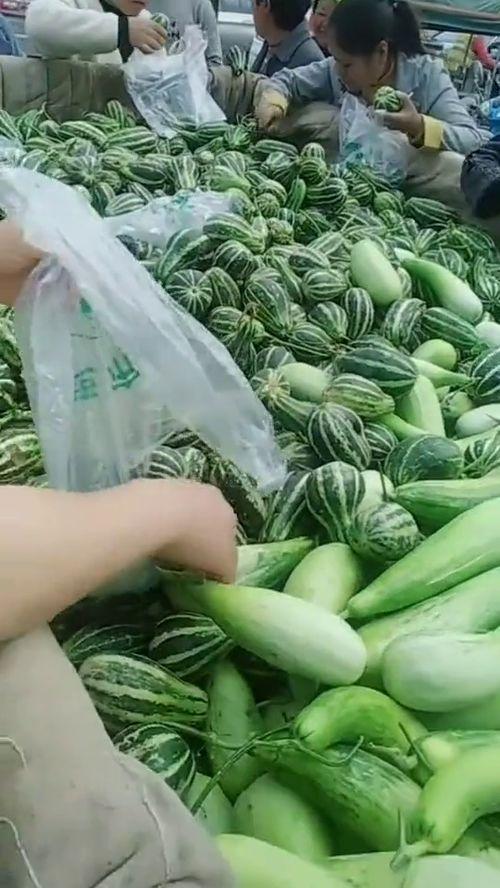 瓜叔今日吃瓜,揭秘娱乐圈最新热点事件