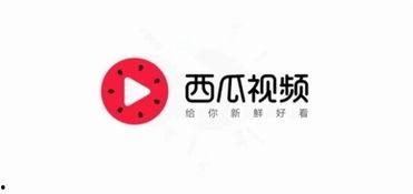 今日头条冒瓜视频,揭秘今日热点背后的故事