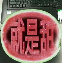 美都瓜今日批发市场价格,今日价格行情一览，新鲜瓜果尽享盛夏美味”
