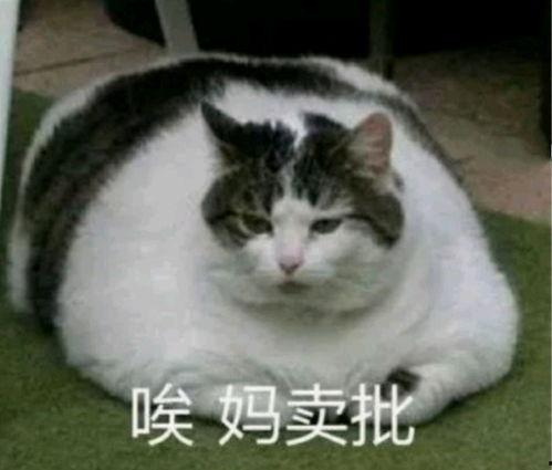 胖猫谭竹吃瓜黑料,揭秘娱乐圈吃瓜黑料背后的真相
