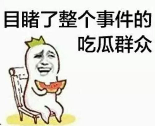 今日吃瓜群众朝阳群众,今日吃瓜群众的缩影与力量