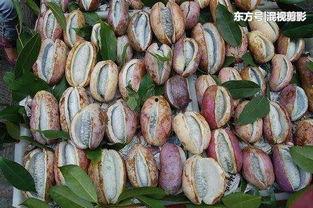 今日八月瓜干货的价格,品味自然，尽享健康美味