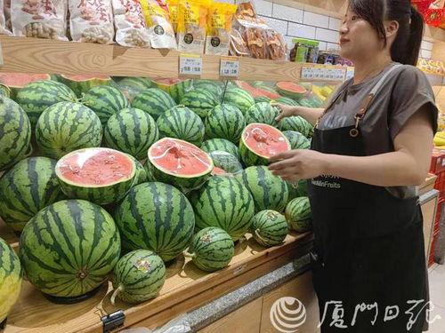 瓜价今日价格,揭秘市场波动背后的秘密”