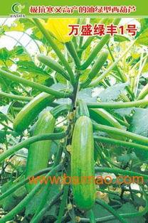 寿光籽瓜今日价格行情,价格波动解析