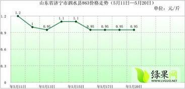 今日旱瓜价格行情分析,供需波动下的价格走势解析