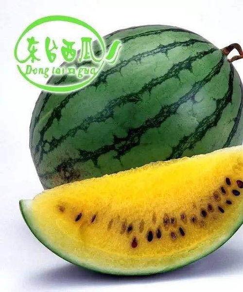 吊瓜西瓜今日价格走势图,今日走势图深度解析