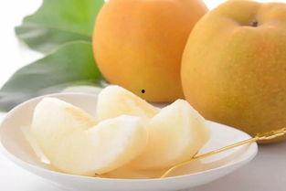 今日沙洲蜜瓜价格,价格走俏，甜蜜上市！