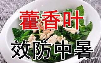 今日入伏吃三瓜三肉,三瓜三肉，夏日健康饮食指南