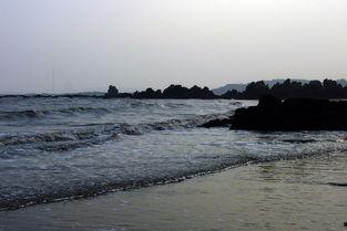 庄河吃瓜黑岛,揭秘庄河吃瓜背后的神秘岛屿