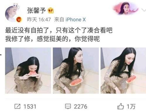 蘑菇视频爆料黑料吃瓜lisa,LISA黑料吃瓜，真相究竟如何？