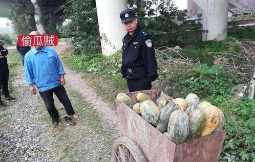 黑交院吃瓜事件,揭秘校园网络舆论风波