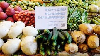 今日卖瓜文案,新鲜热辣，瓜界风云再起！