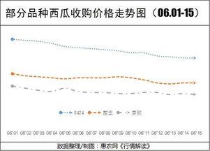 汉瓜今日行情价格最新走势,最新走势解析，价格波动背后的市场动态