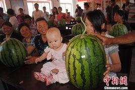 河北今日吃瓜新闻,揭秘网络热议背后的真相