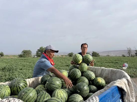 大黑牛吃瓜,揭秘娱乐圈的甜蜜与苦涩