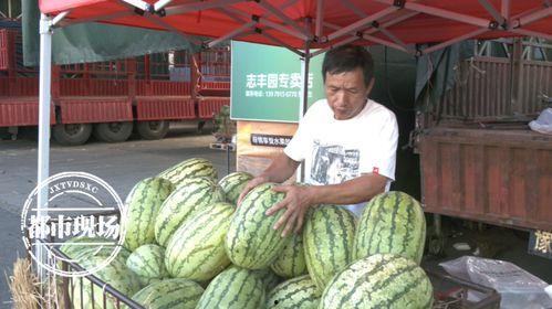今日开封市场旱瓜收货价,行情波动，供需影响显著”
