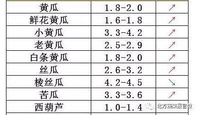 今日瓜菜价格走势,市场动态一览
