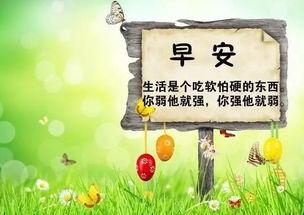 吃瓜黑历史正能量文案短句,吃瓜黑历史中的正能量瞬间