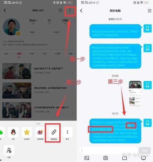 今日头条采瓜视频下载,尽享精彩瞬间！