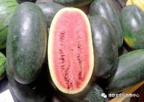 每日黑瓜吃料155,155份美味食光，尽享味蕾盛宴