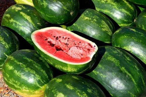 合集今日吃瓜 每日吃瓜视频,跟随“今日吃瓜”探索娱乐圈新鲜事