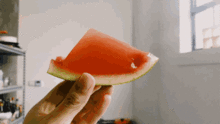 今日头条立秋吃瓜,瓜果飘香，一起品味夏日余韵