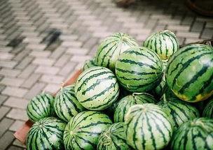 吃黑呀瓜,一场味蕾的奇幻之旅