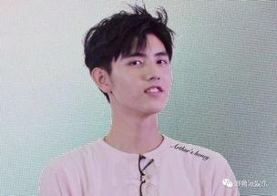 吃瓜群众看明星黑料,吃瓜群众视角下的明星黑料风云