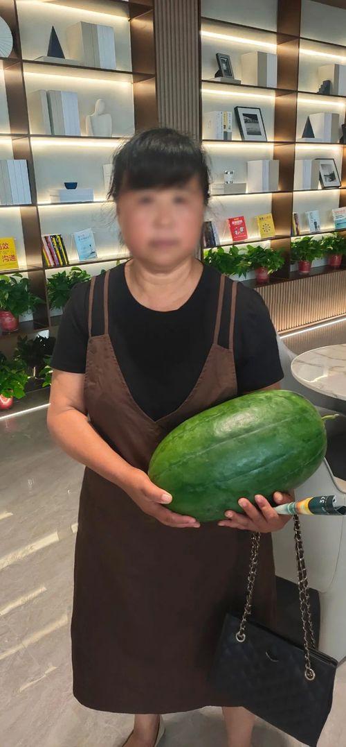 每日大瓜今日吃瓜XXOO,揭秘XXOO背后的惊人真相