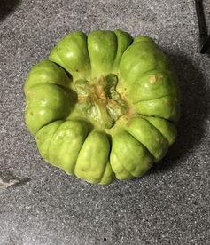 西昌今日吃瓜,瓜田里的新鲜事儿