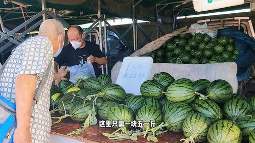 今日庞各庄小吊瓜售价