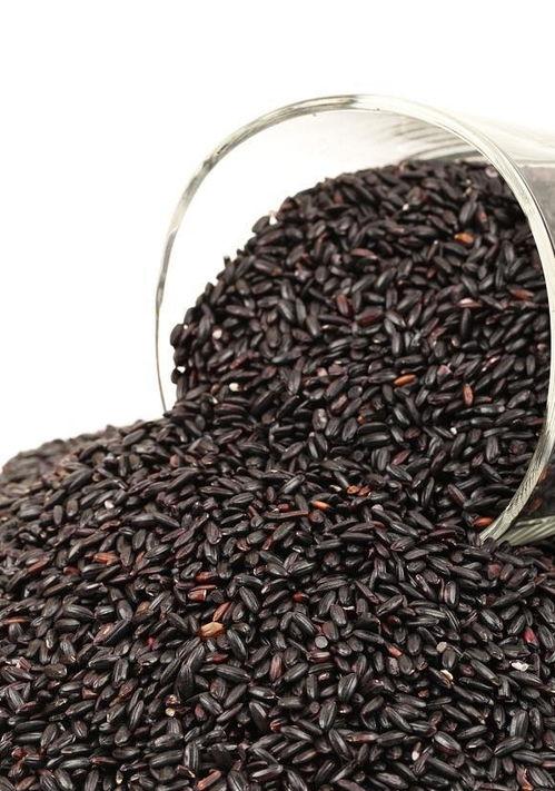 宝宝可以吃黑米瓜吗,黑米瓜的适宜性与营养解析