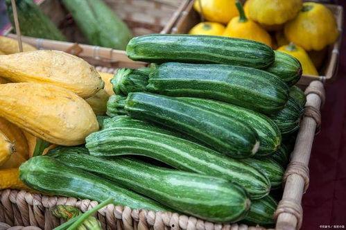 山东吊瓜今日价格,市场行情实时解析