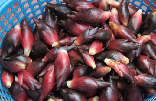 吃葫芦瓜会出现黑便便吗,葫芦瓜摄入与黑便现象揭秘