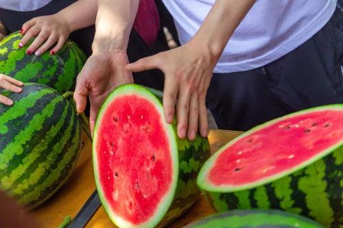 今日国内实时吃瓜