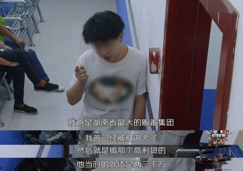 今日说法吃瓜,揭秘“今日说法”吃瓜群众背后的故事