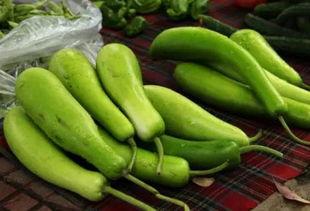 黑葫芦瓜怎么吃才好吃