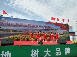 陕西省瓜州县今日新闻,聚焦乡村振兴与文化旅游发展新动态