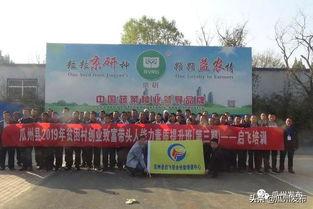 陕西省瓜州县今日新闻,聚焦乡村振兴与文化旅游发展新动态