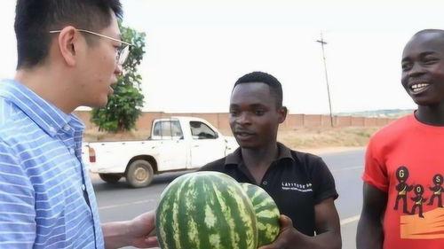 校园暴力黑料吃瓜