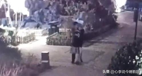 今日份吃瓜完整视频,完整视频深度解析