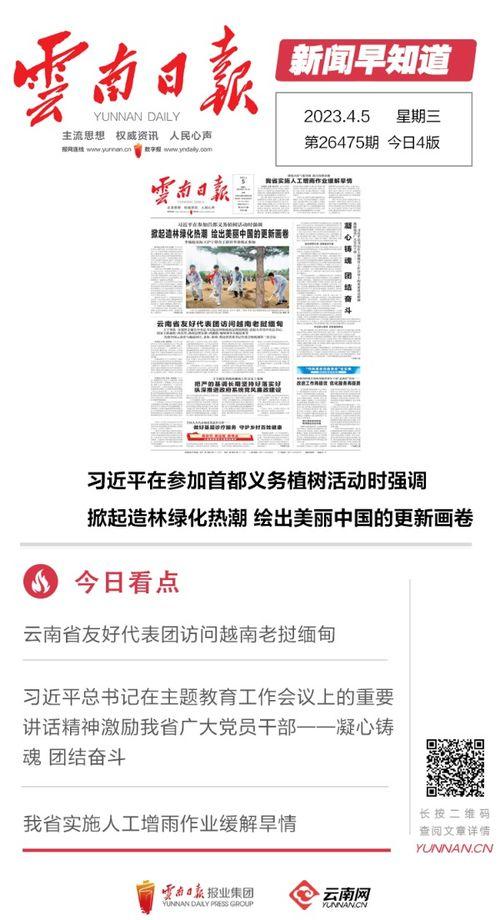 丽水今日热瓜新闻报道最新,最新民生焦点事件追踪