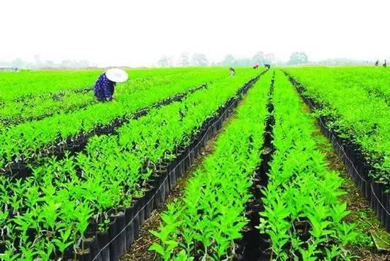 丽水今日热瓜新闻报道最新,最新民生焦点事件追踪