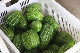 mnvvpm黑料吃瓜,吃瓜群众如何解读娱乐圈风云