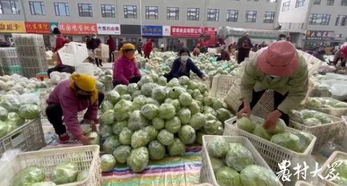 阜阳瑶海哈密瓜批发市场今日行情,今日行情火爆，价格稳中有升”