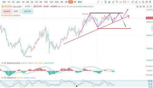 酥瓜今日价位走势分析图,今日走势深度剖析