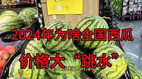 2024年毛瓜今日价格,今日行情一览”