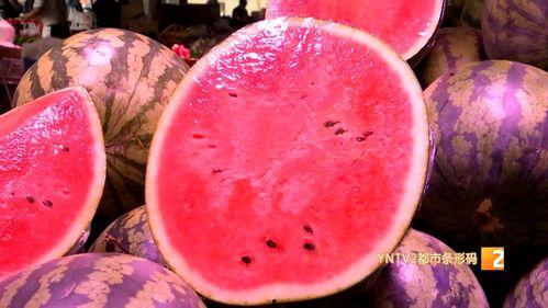 云南芒市麒麟瓜今日价位