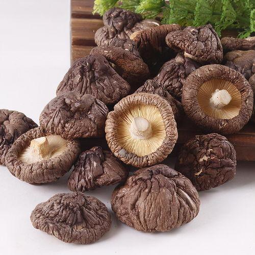 吃瓜官网黑料蘑菇视频,蘑菇视频背后的真相大起底